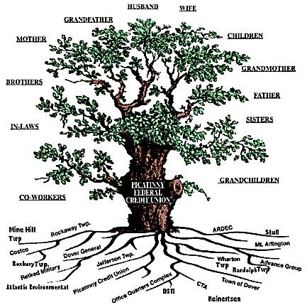 Tree on Tree Is An Illustration  However  We Do Have An Accuratefamily Tree